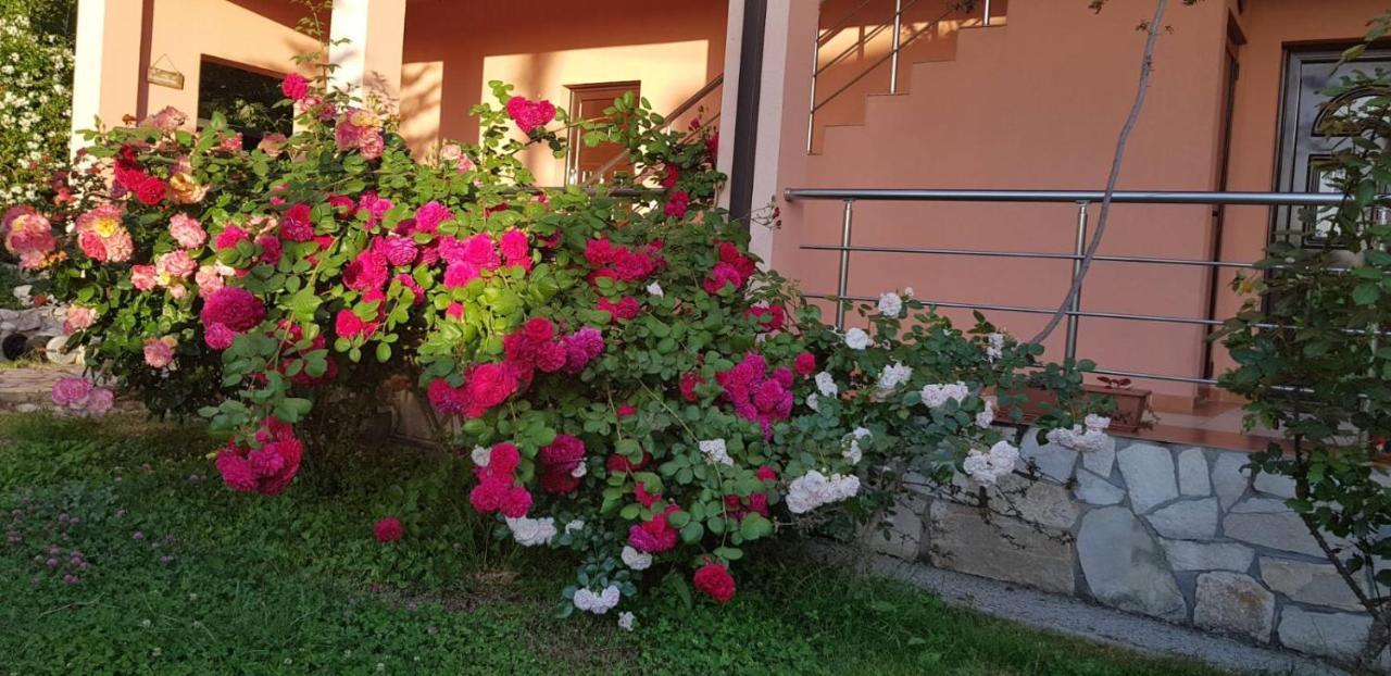 Villa Persik Utjeha Exteriér fotografie